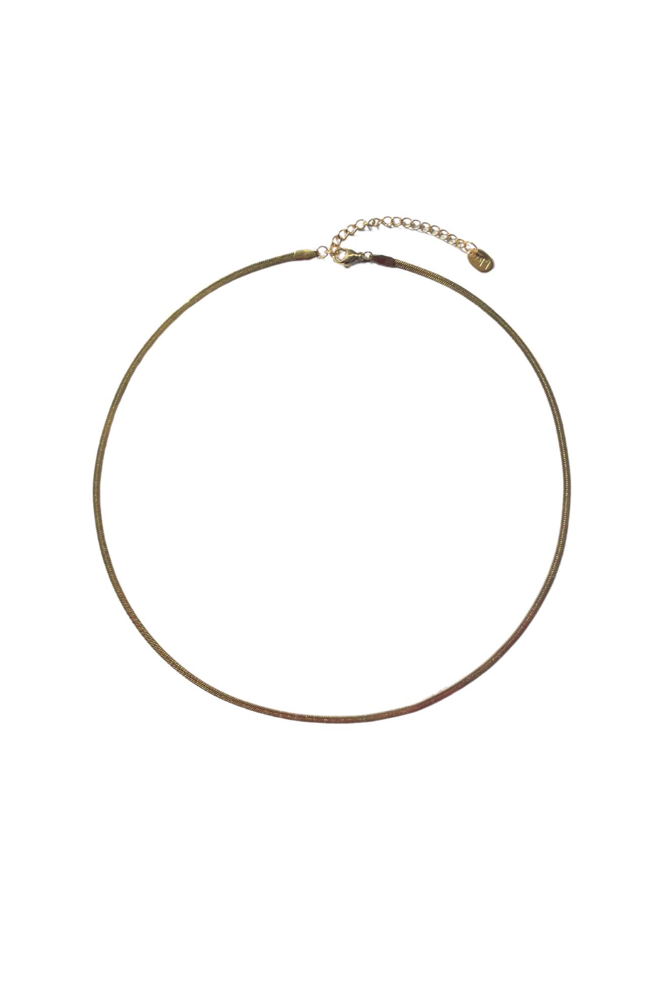 Flat snake Necklace