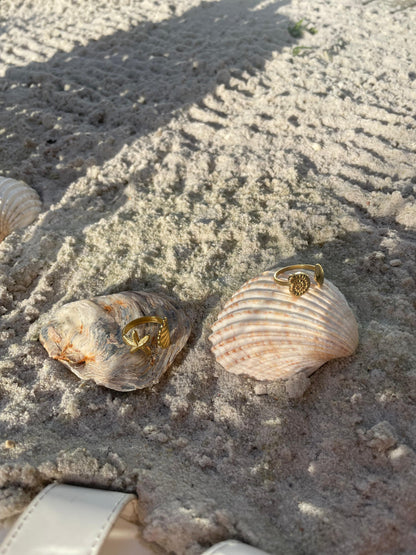 Sea Shell ring